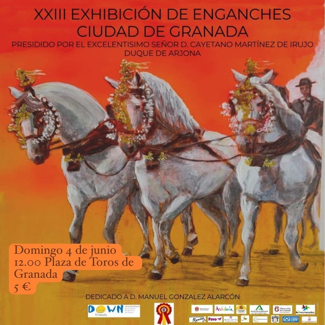 Cartel de la Exhibición de Enganches a beneficio de Down Granada